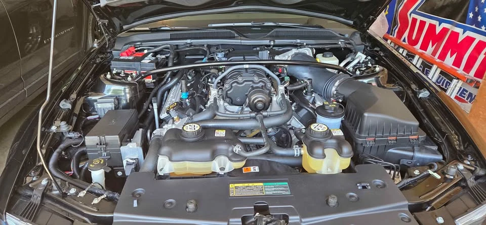 2007 Shelby GT500 - Image 8 of 10