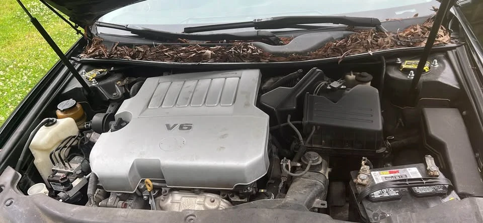 2007 Toyota Avalon 3rd Gen - Image 8 of 11