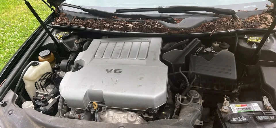 2007 Toyota Avalon 3rd Gen - Image 9 of 11