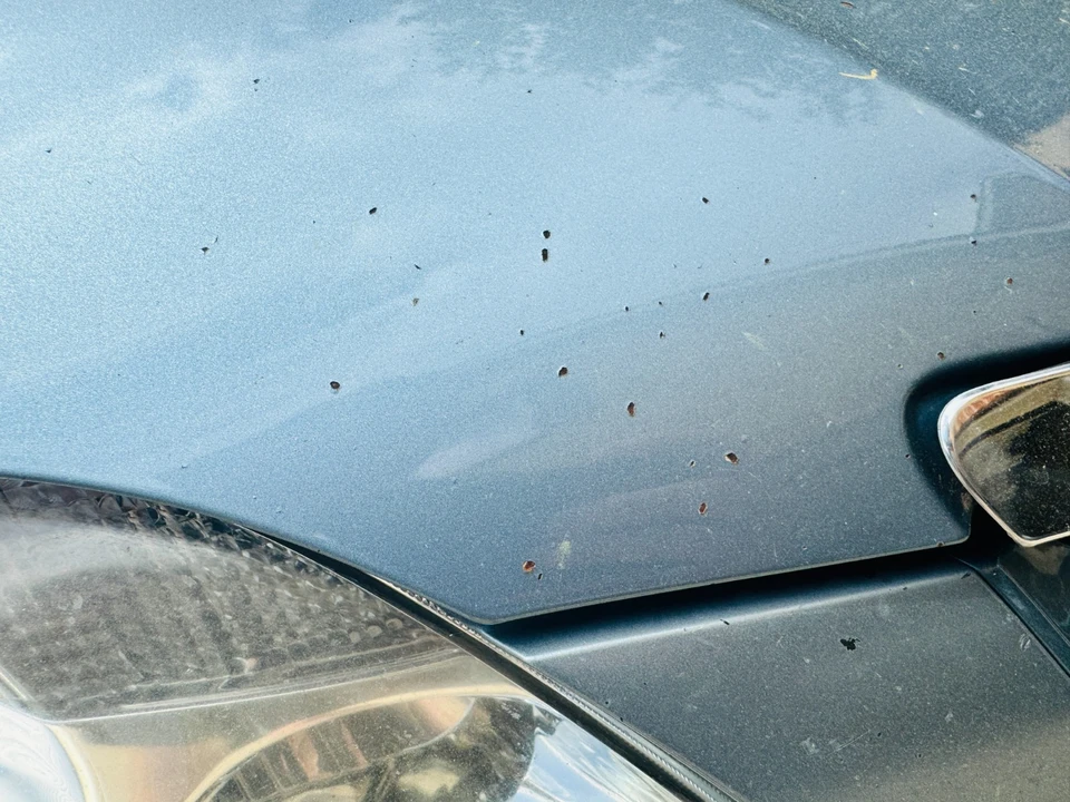 2007 Toyota Avalon 3rd Gen - Image 16 of 20