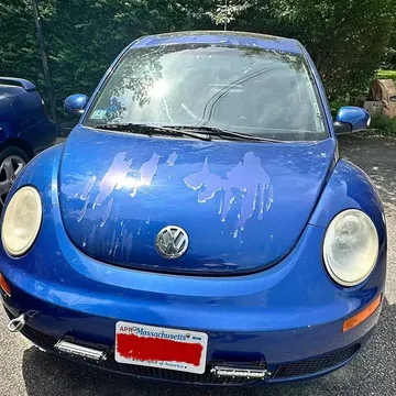 2007 Volkswagen Beetle 2.5L Entry Hatchback 2D