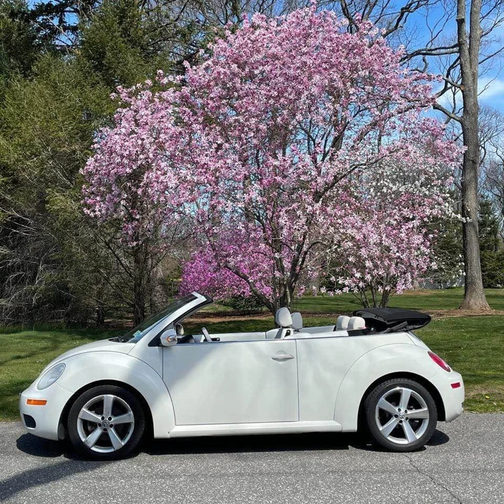 2007 Volkswagen New Beetle - Image 2 of 5