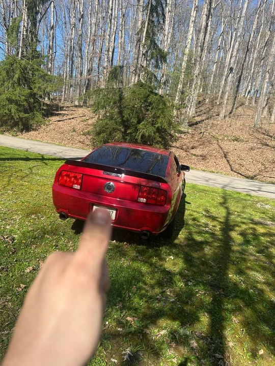 2007 Ford S197 Mustang - Image 3 of 11