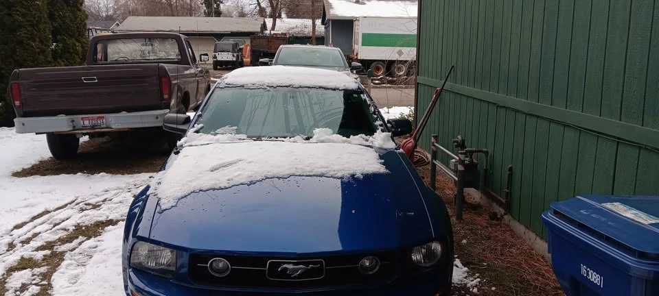 2007 Ford S197 Mustang - Image 3 of 10