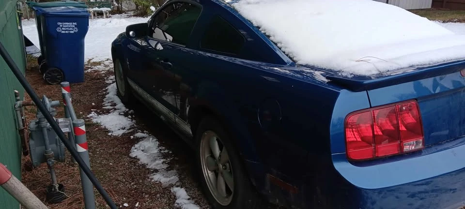 2007 Ford S197 Mustang - Image 5 of 10