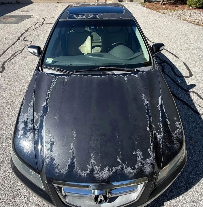 2008 Acura TL 3rd Gen - Image 8 of 11