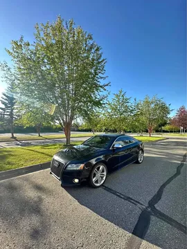 2008 Audi S5