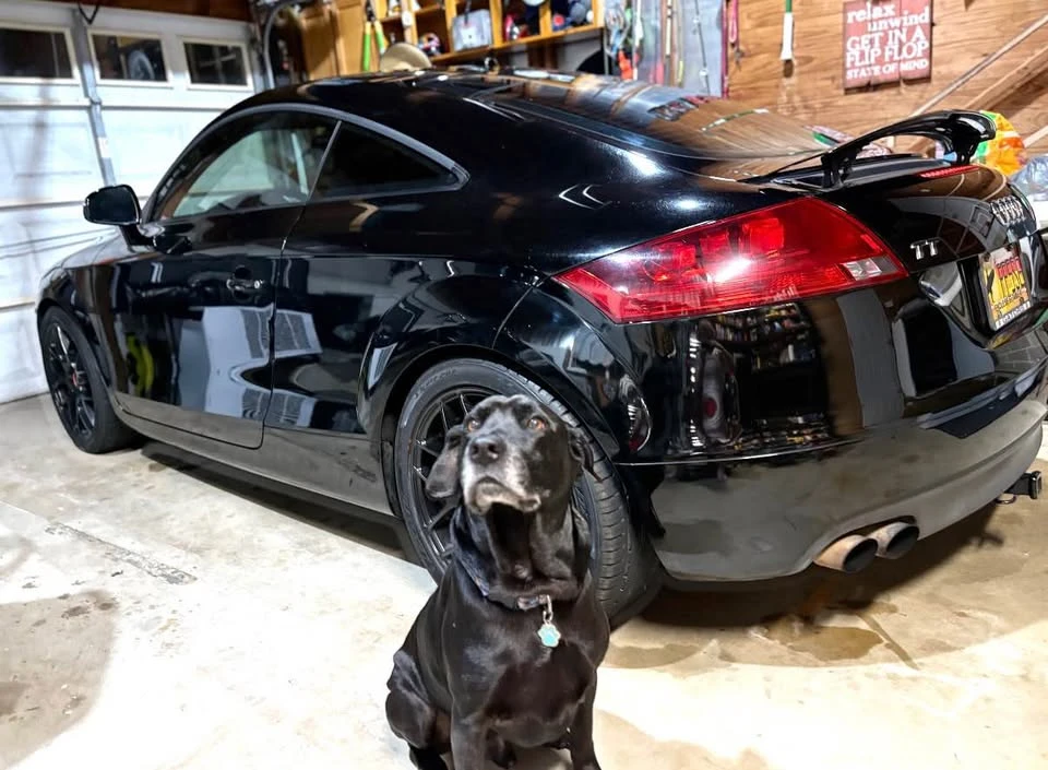 2008 Audi TT Mk2 - Image 2 of 5