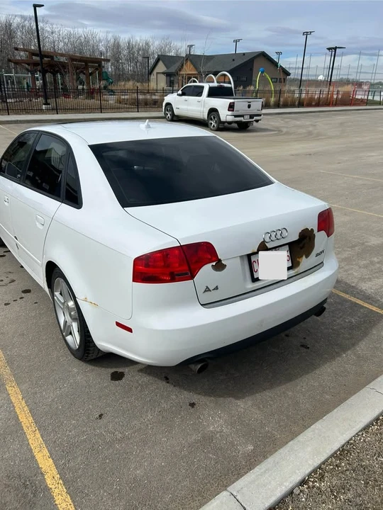 2008 Audi B7 A4 - Image 9 of 10