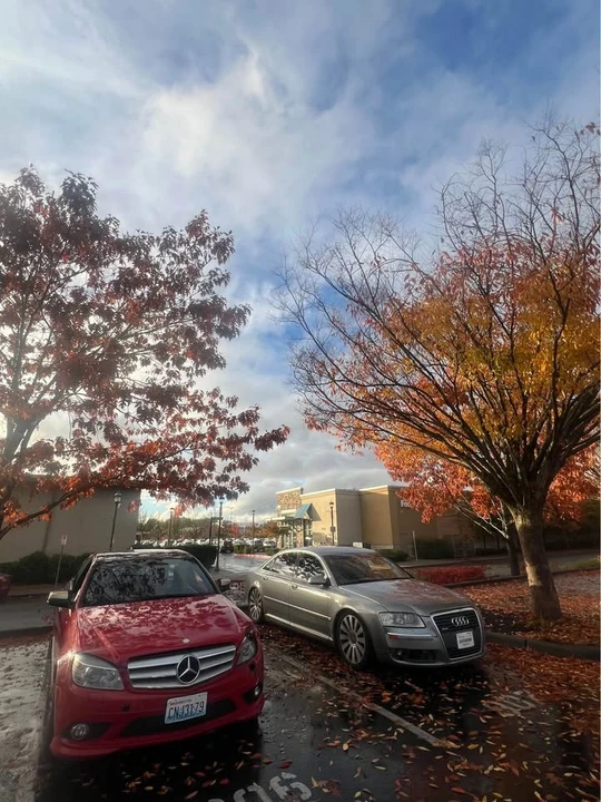 2008 Audi D3 A8 - Image 10 of 19