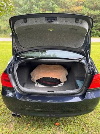 2008 BMW E90 3 Series Sedan - Image 20 of 21