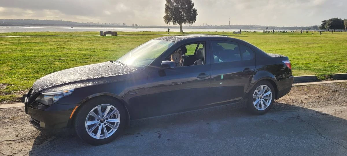 2008 BMW E60 5 Series Sedan - Image 8 of 8