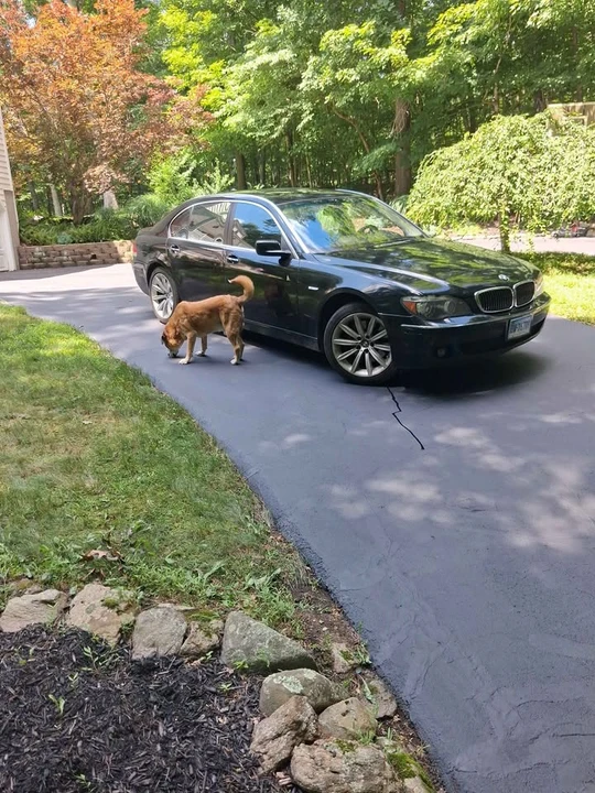 2008 BMW E65/E66 750i & 760i Sedan - Image 3 of 7