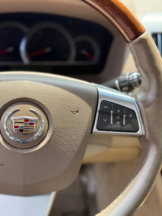 2008 Cadillac STS - Image 16 of 20