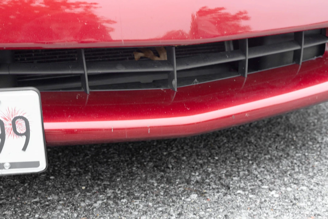 2008 Chevrolet Corvette C6 - Image 25 of 31
