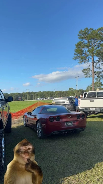2008 Chevrolet Corvette C6 - Image 3 of 4