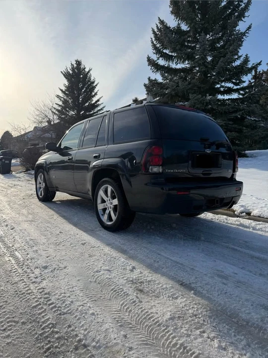 2008 Chevrolet Trailblazer - Image 2 of 8
