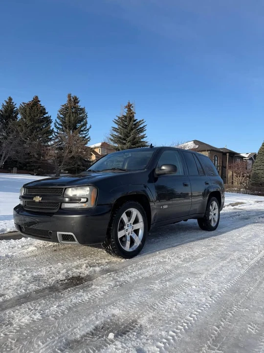 2008 Chevrolet Trailblazer - Image 8 of 8
