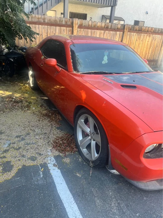 2008 Dodge Challenger SRT8 & 392 3rd Gen - Image 6 of 6