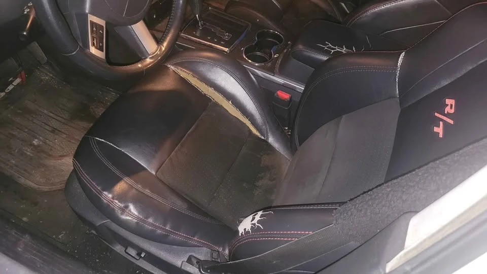 2008 Dodge Charger 6th Gen - Image 6 of 9