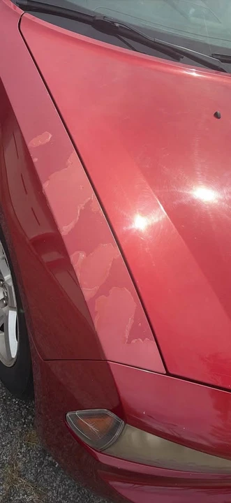 2008 Dodge Charger 6th Gen - Image 7 of 9