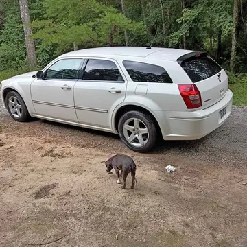 2008 Dodge Magnum SXT