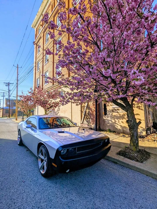 2008 Dodge Challenger 3rd Gen - Image 3 of 11