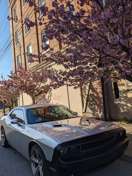 2008 Dodge Challenger 3rd Gen - Image 2 of 11