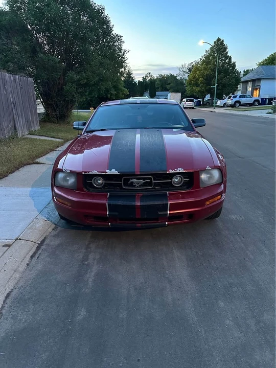 2008 Ford S197 Mustang - Image 2 of 15