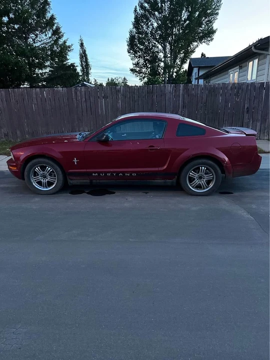2008 Ford S197 Mustang - Image 4 of 15