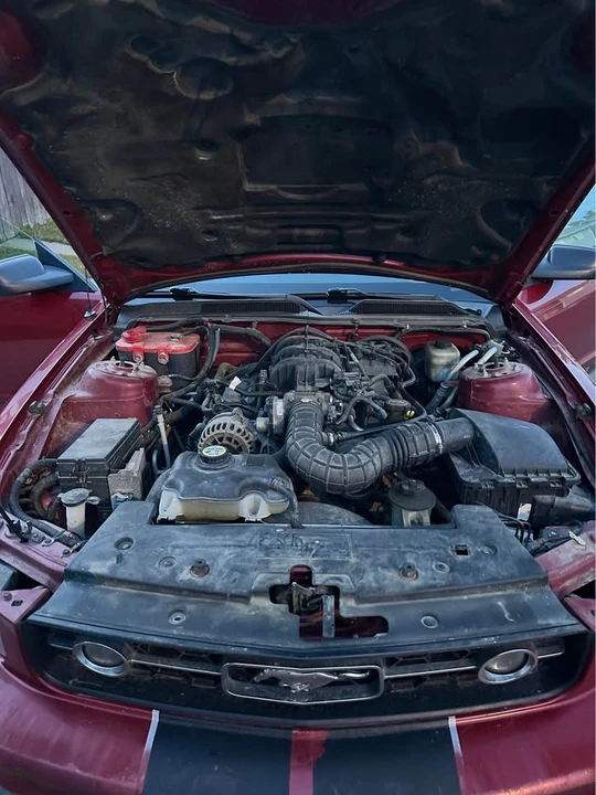 2008 Ford S197 Mustang - Image 13 of 15