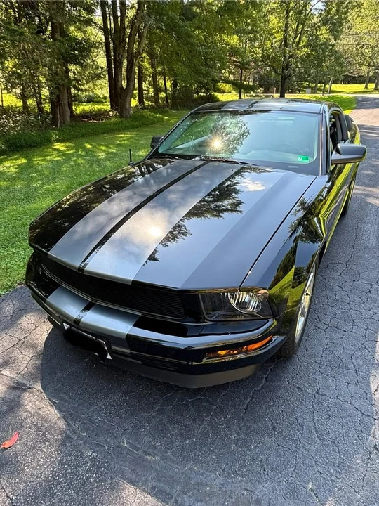 2008 Ford S197 Mustang - Image 6 of 14
