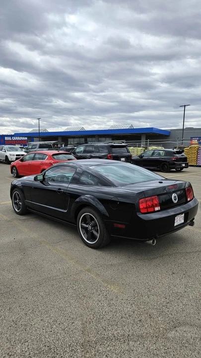 2008 Ford S197 Mustang - Image 4 of 13