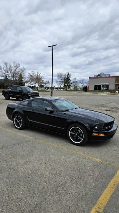 2008 Ford S197 Mustang - Image 8 of 13