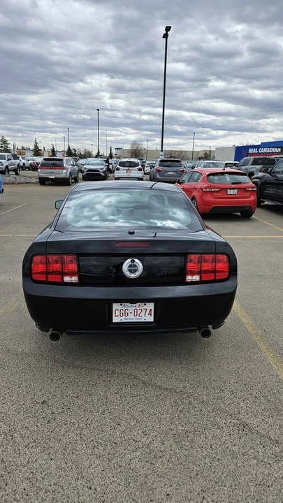 2008 Ford S197 Mustang - Image 6 of 13