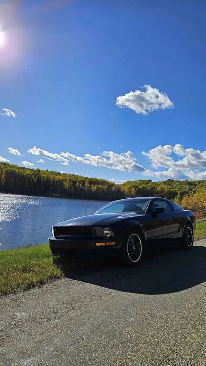 2008 Ford S197 Mustang - Image 2 of 13
