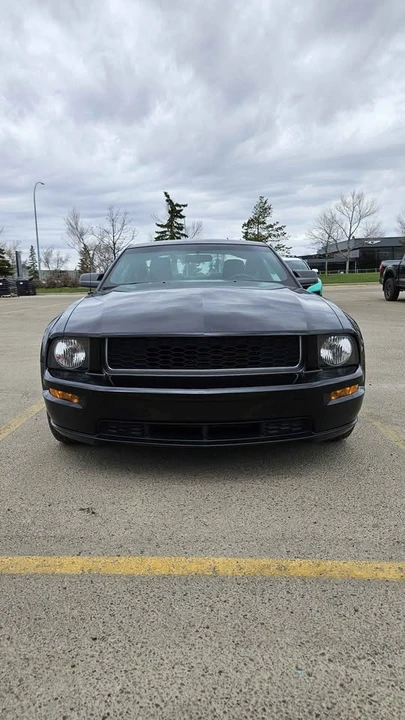 2008 Ford S197 Mustang - Image 9 of 13