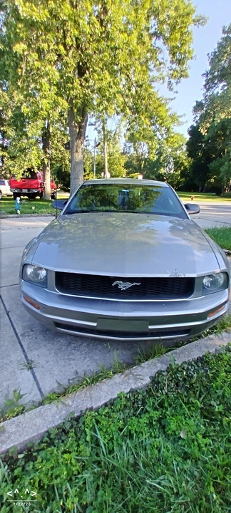 2008 Ford S197 Mustang - Image 4 of 31
