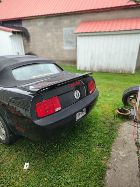 2008 Ford S197 Mustang - Image 8 of 20