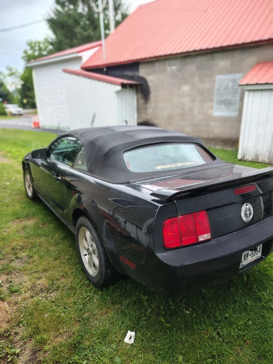 2008 Ford S197 Mustang - Image 6 of 20