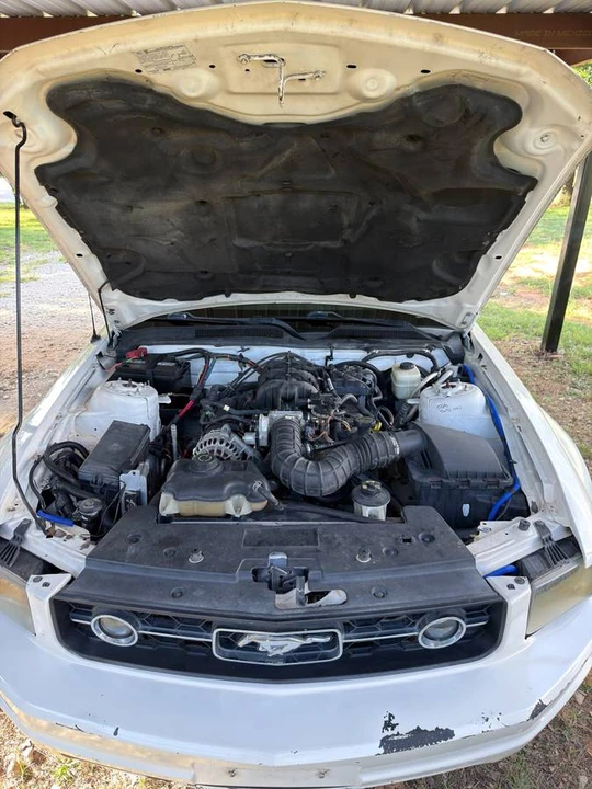 2008 Ford S197 Mustang - Image 7 of 10