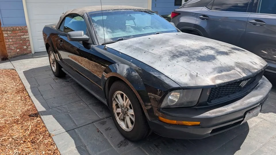 2008 Ford S197 Mustang - Image 5 of 10