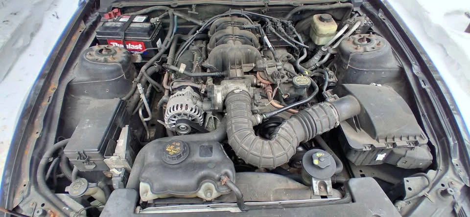2008 Ford S197 Mustang - Image 11 of 12