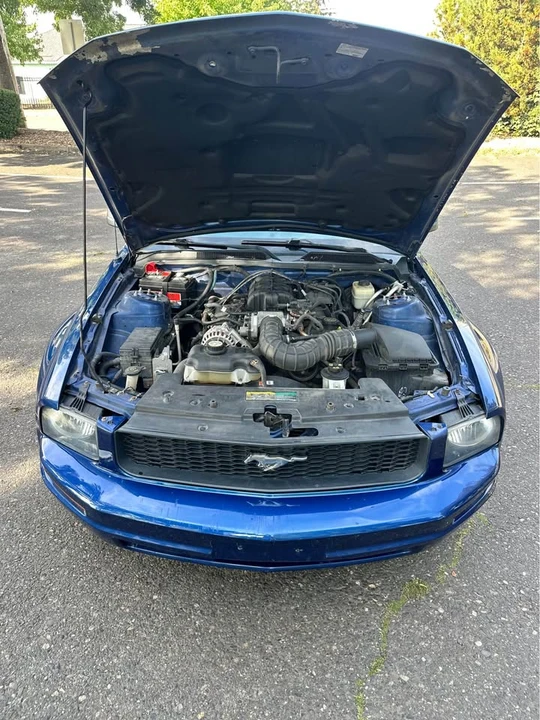 2008 Ford S197 Mustang - Image 11 of 12