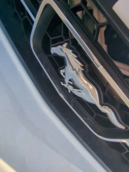 2008 Ford S197 Mustang - Image 11 of 11