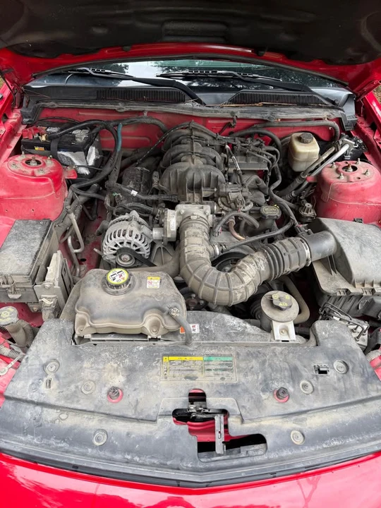 2008 Ford S197 Mustang - Image 11 of 11