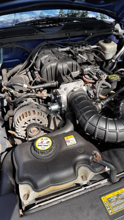 2008 Ford S197 Mustang - Image 5 of 20