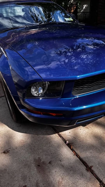 2008 Ford S197 Mustang - Image 12 of 20