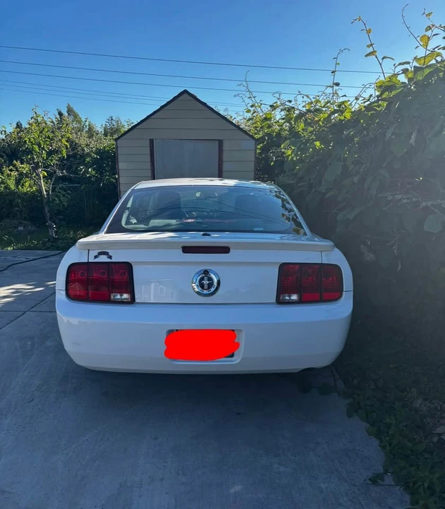 2008 Ford S197 Mustang - Image 3 of 6
