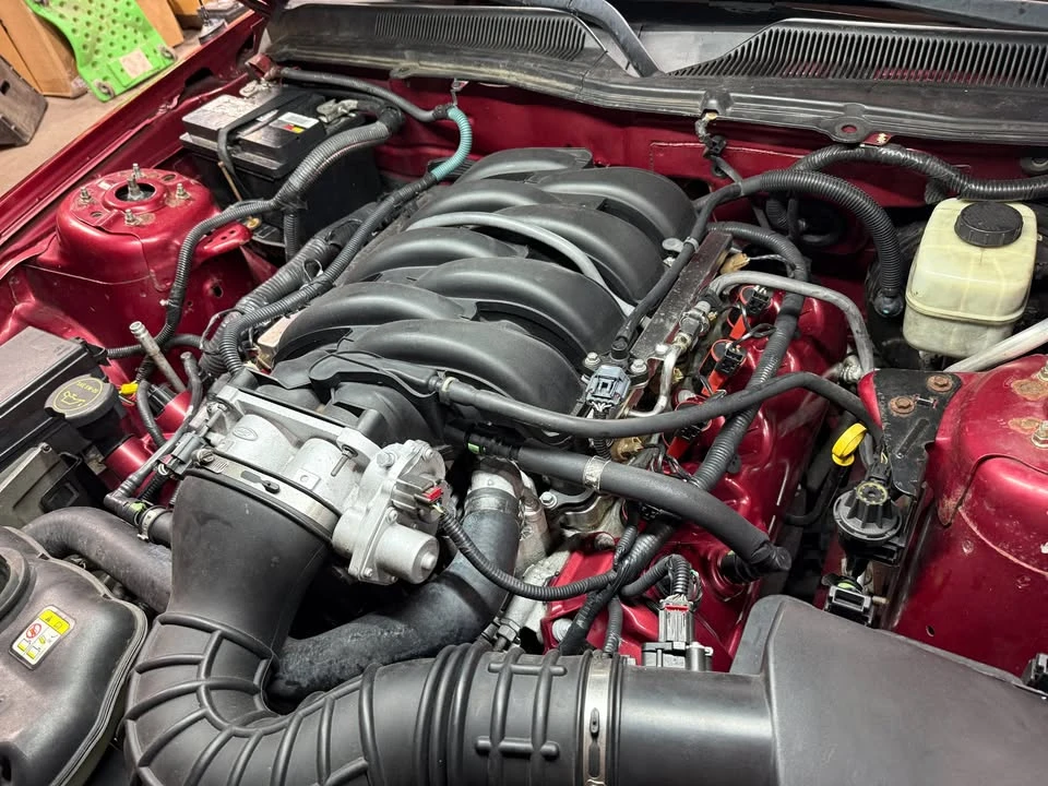 2008 Ford S197 Mustang - Image 11 of 12